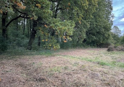 działka na sprzedaż - Siemianice