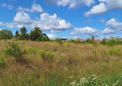 działka na sprzedaż - Dobra (Szczecińska), Mierzyn