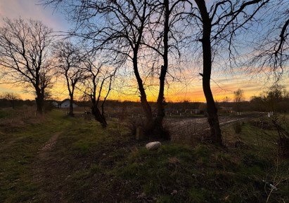 działka na sprzedaż - Gryfino