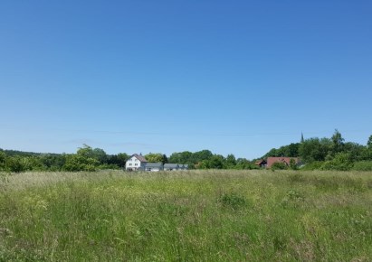 działka na sprzedaż - Wolin (gw), Kołczewo