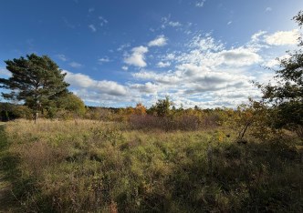 działka na sprzedaż - Gryfino