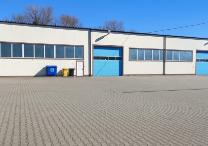 hala na wynajem - Szczecin, Dąbie