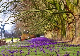 mieszkanie na sprzedaż - Szczecin, Centrum