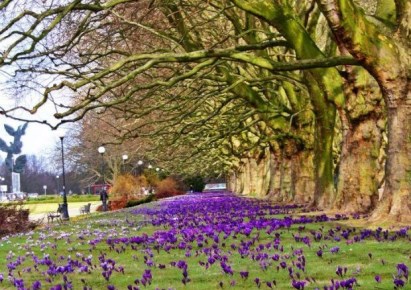 mieszkanie na sprzedaż - Szczecin, Centrum