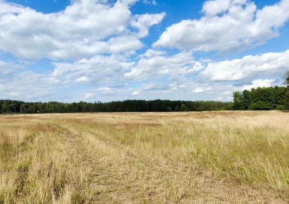 działka na sprzedaż - Dobra (Szczecińska), Stolec