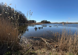 działka na sprzedaż - Stare Czarnowo, Binowo