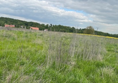 działka na sprzedaż - Trzebnica, Skarszyn