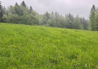 działka na sprzedaż - Grybów, Krużlowa Wyżna