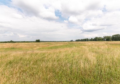 działka na sprzedaż - Goleniów (gw), Rurzyca, Łąkowa