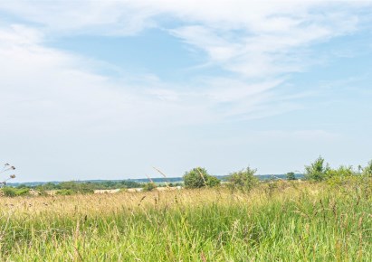 działka na sprzedaż - Kołbaskowo, Bobolin, Kościelna