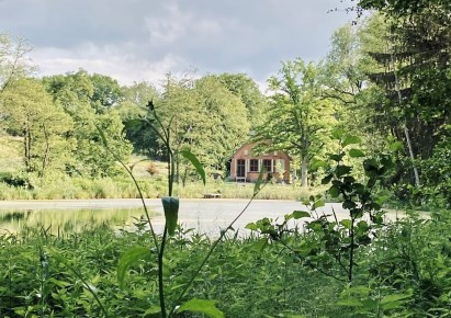 dom na sprzedaż - Złocieniec