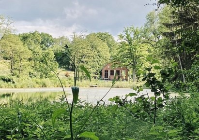 dom na sprzedaż - Złocieniec