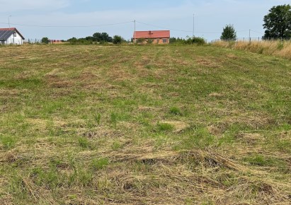 działka na sprzedaż - Prusice, Strupina